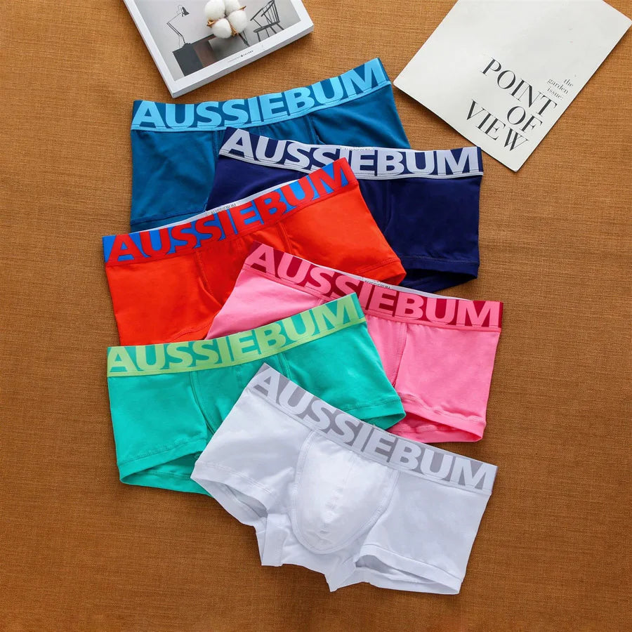 Cedric: Aussiebum Boxer