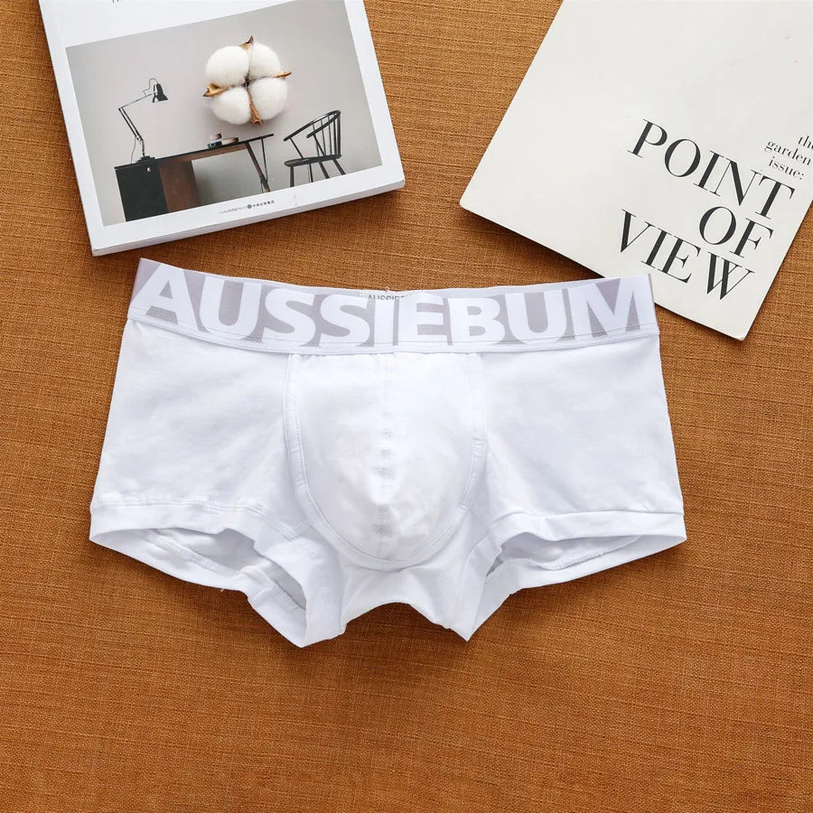 Cedric: Aussiebum Boxer