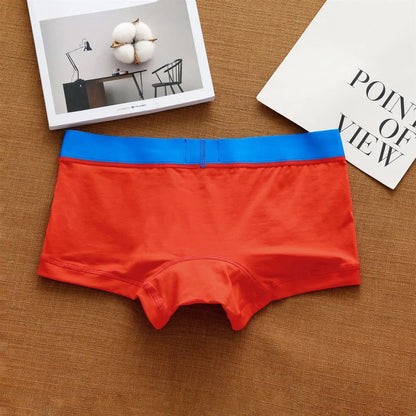 Cedric: Aussiebum Boxer
