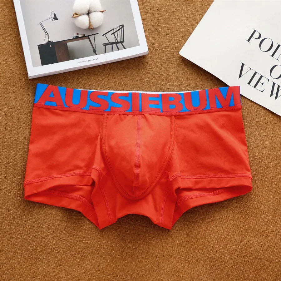 Cedric: Aussiebum Boxer