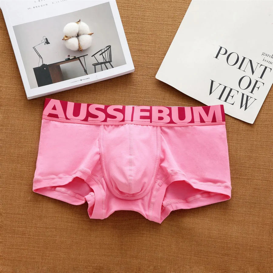 Cedric: Aussiebum Boxer