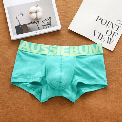 Cedric: Aussiebum Boxer