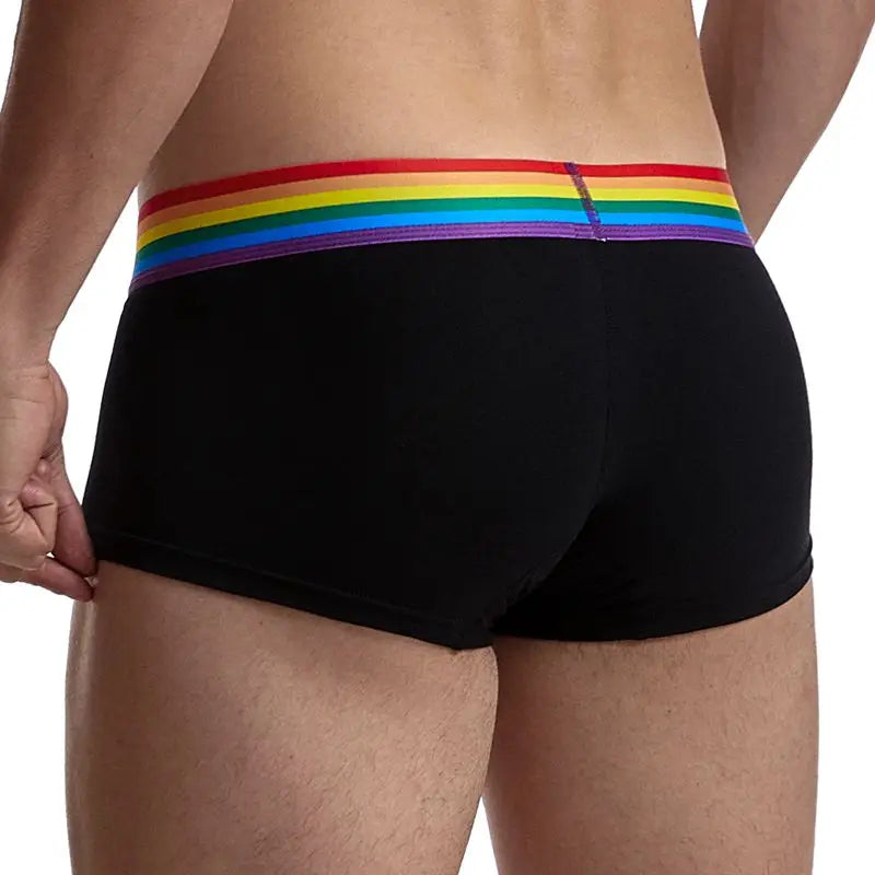 Jessy: Boxer met regenboog band